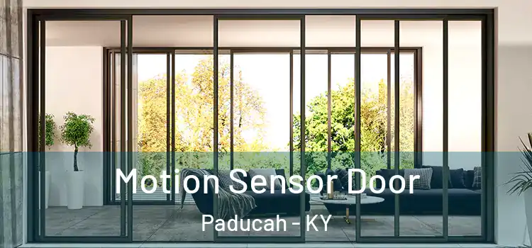 Motion Sensor Door Paducah - KY